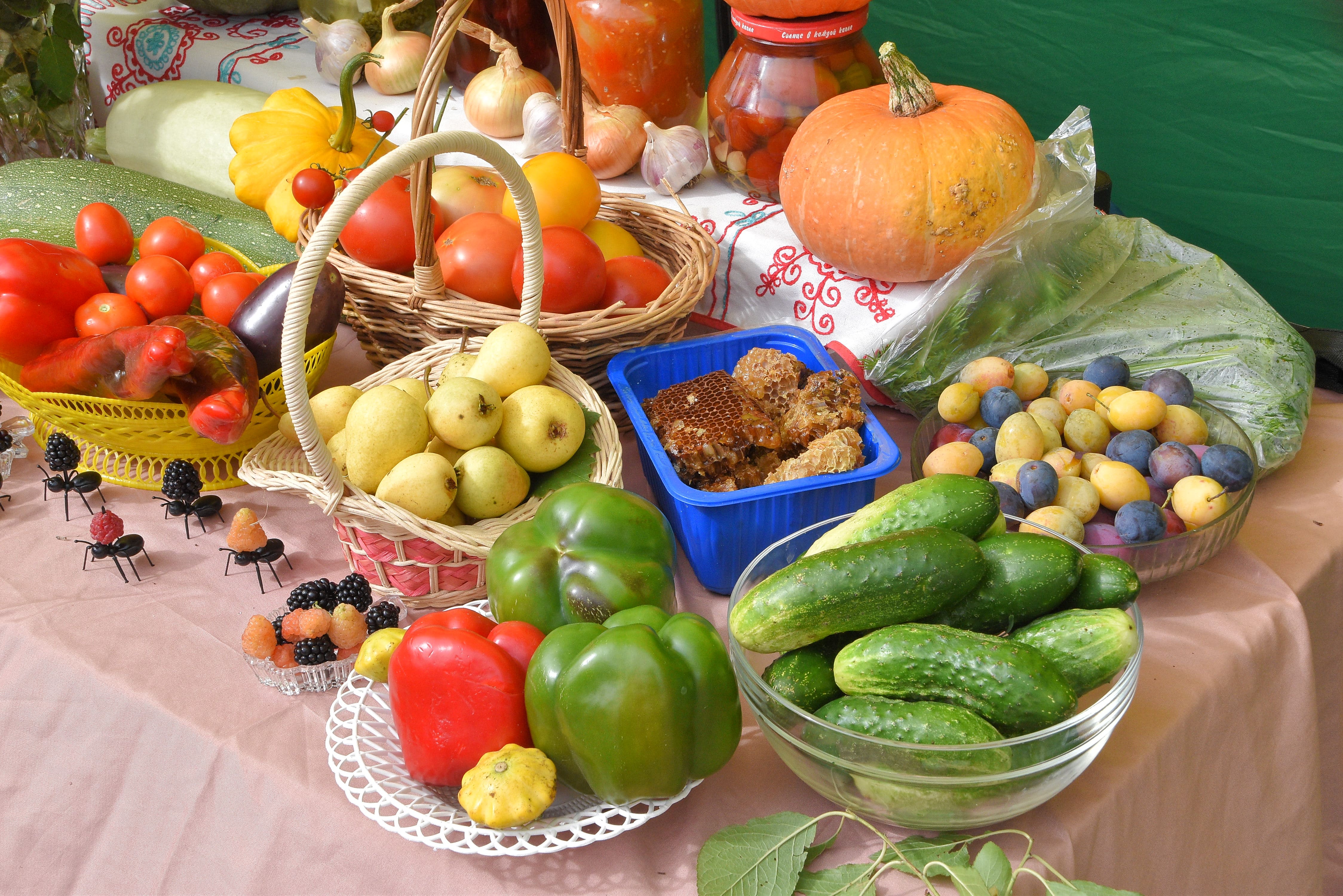 В Твери прошёл смотр-конкурс «Ветеранское подворье»
