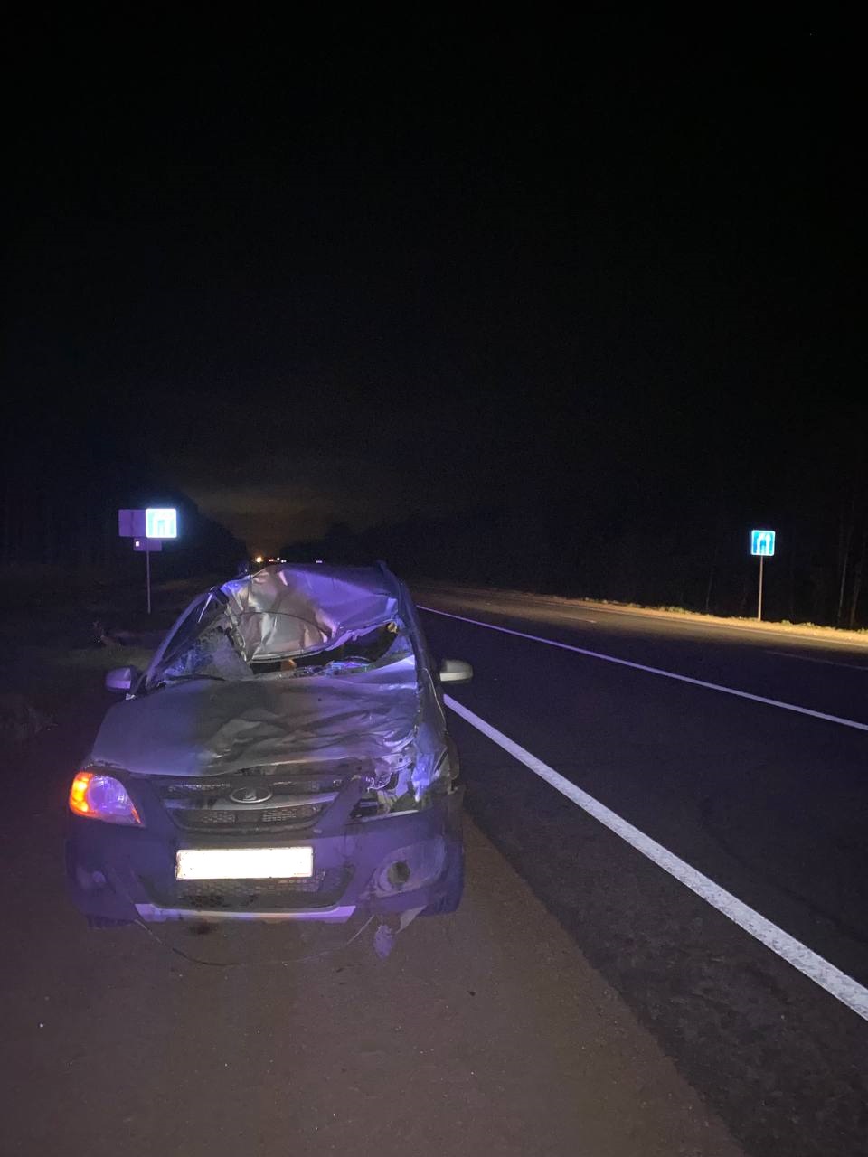 В Тверской области сбивший лося водитель получил травму головы