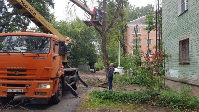 Депутат ТГД Дмитрий Нечаев помог жителям двух домов на бульваре Шмидта спилить аварийные деревья