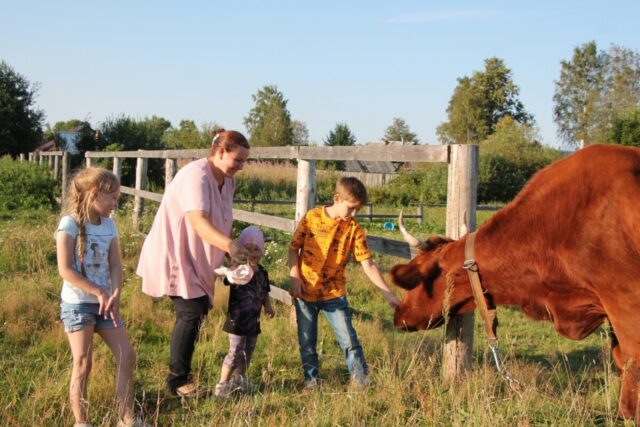 Семья Андроник представляет Вышневолоцкий округ на конкурсе «Семейное подворье»