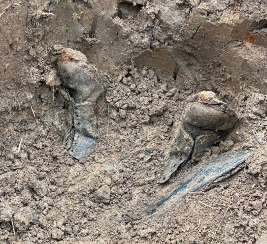 В Ржевском районе поисковики обнаружили останки бойцов и командиров Красной армии В Ржевском районе поисковики обнаружили останки бойцов и командиров Красной армии