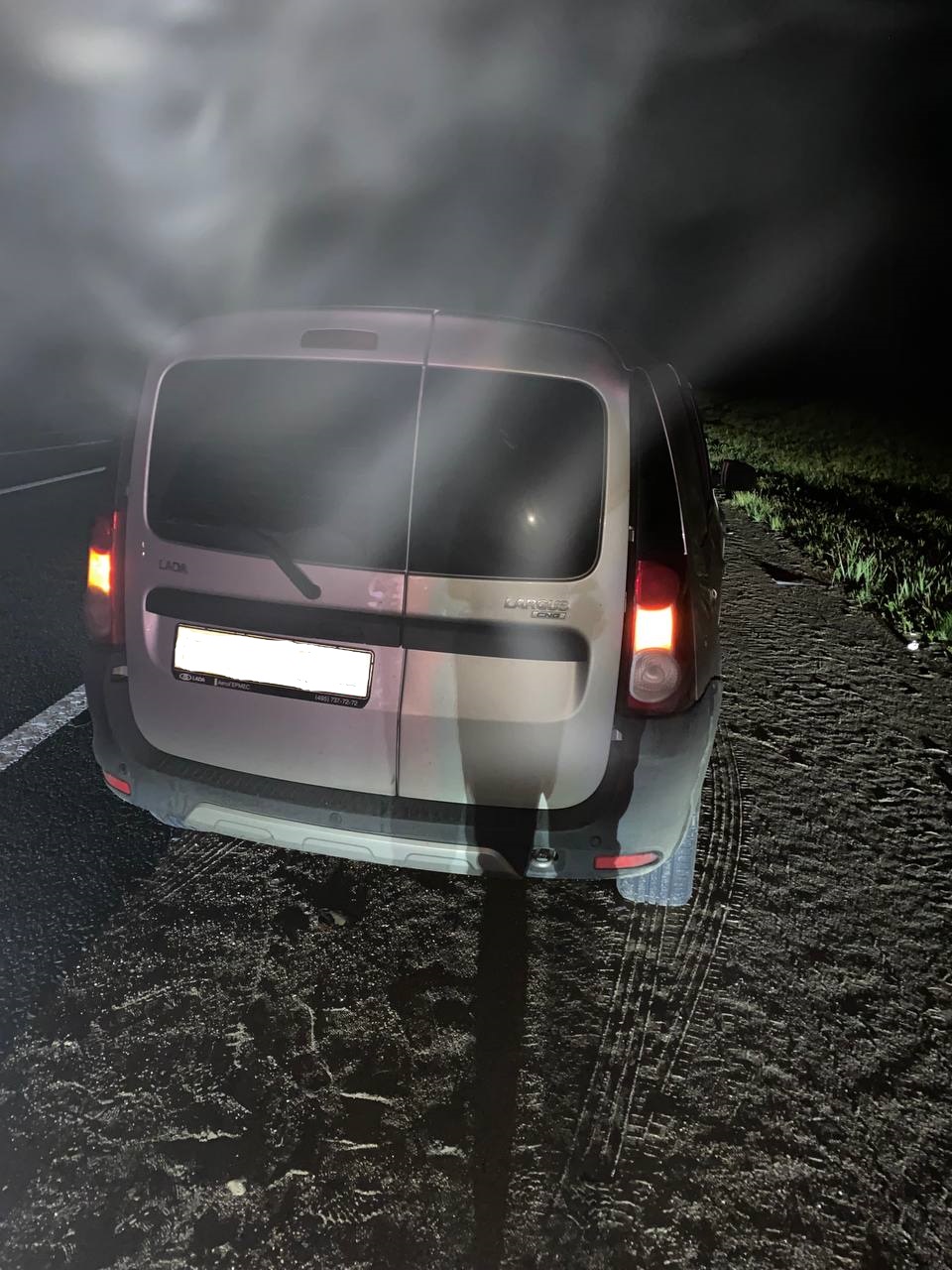 В Тверской области сбивший лося водитель получил травму головы