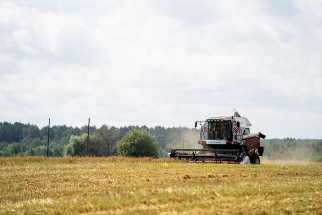На заседании регионального правительства рассмотрят ход сезонных полевых работ и подготовку к уборочной кампании