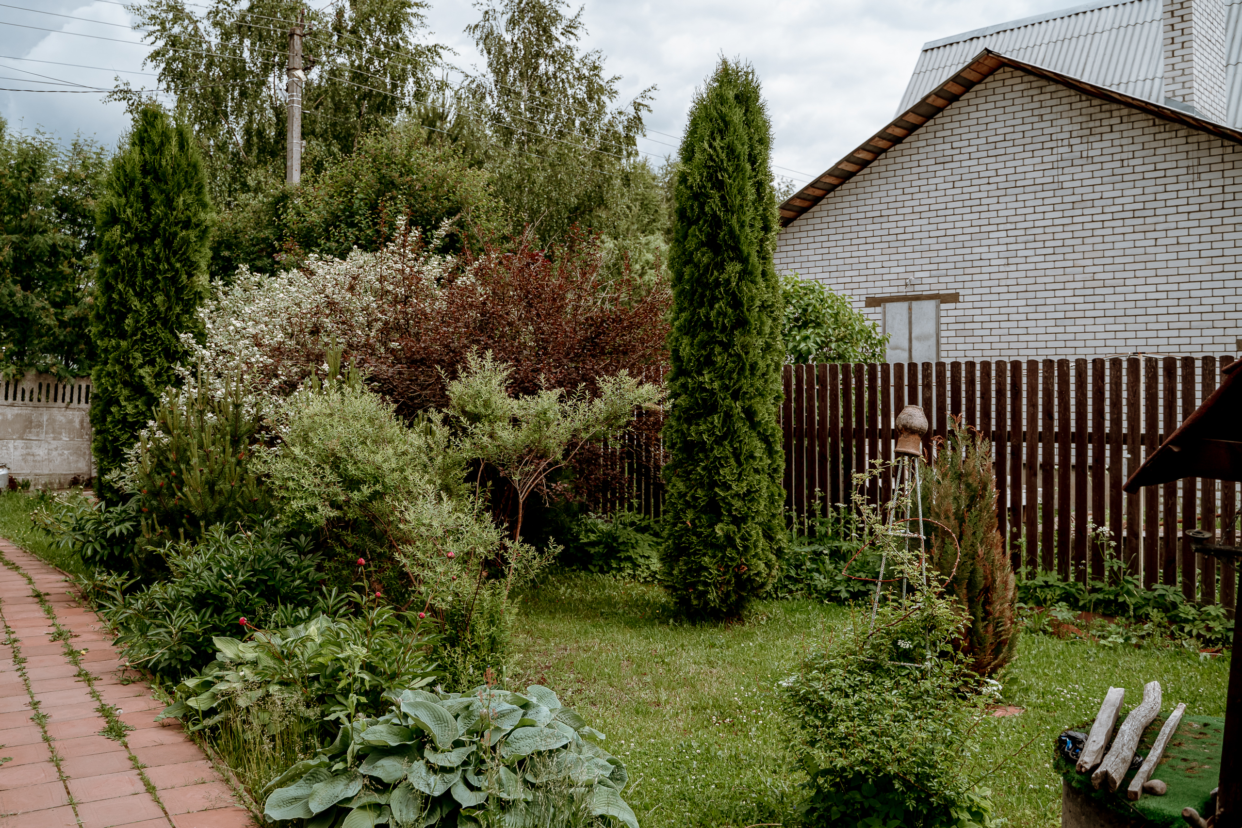 Житель Тверской области выращивал у себя на участке наркосодержащие растения