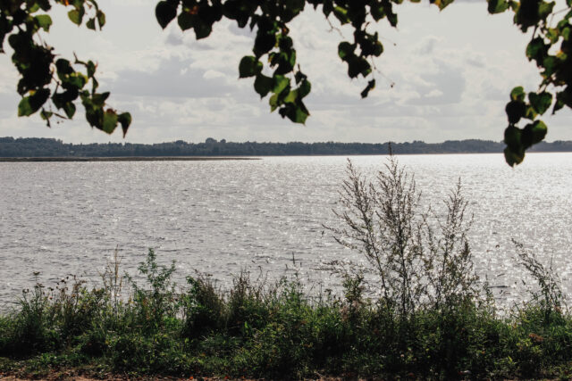 Селигер попал в рейтинг лучших мест для осенней рыбалки в России Житель Тверской области ждет суда за незаконный вылов рыбы