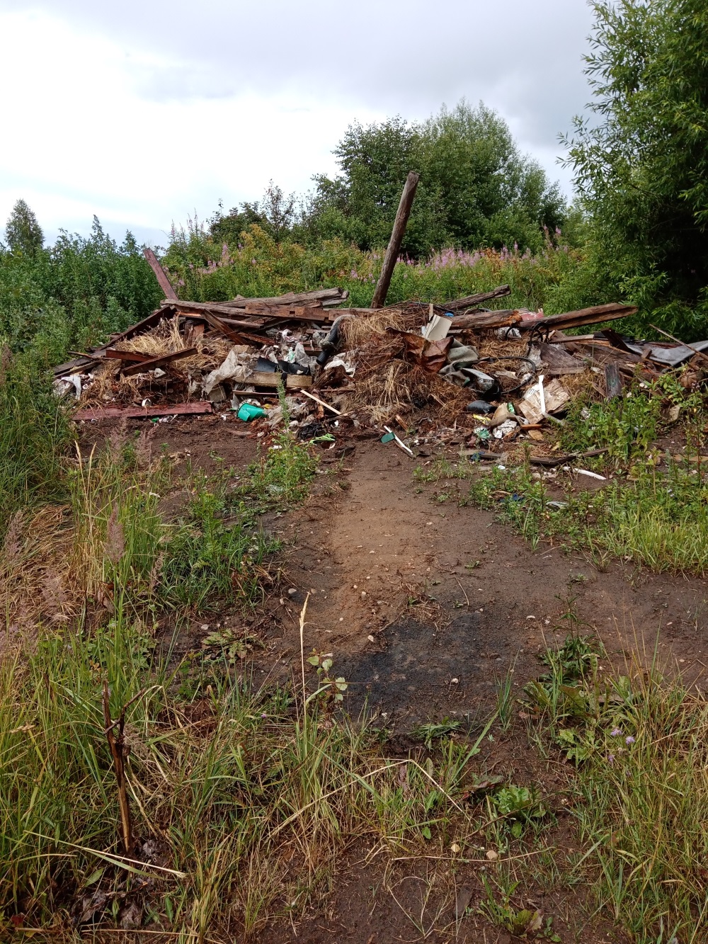 В Тверской области выявлено больше 220 гектаров заросших сельскохозяйственных угодий В Тверской области выявлено больше 220 гектаров заросших сельскохозяйственных угодий