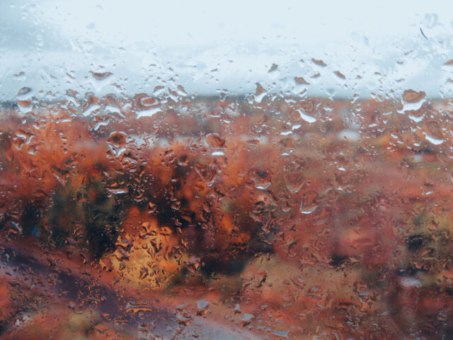 В воскресенье в Тверской области продолжится дождь В четверг в Тверской области ожидается дождь и сильный ветер