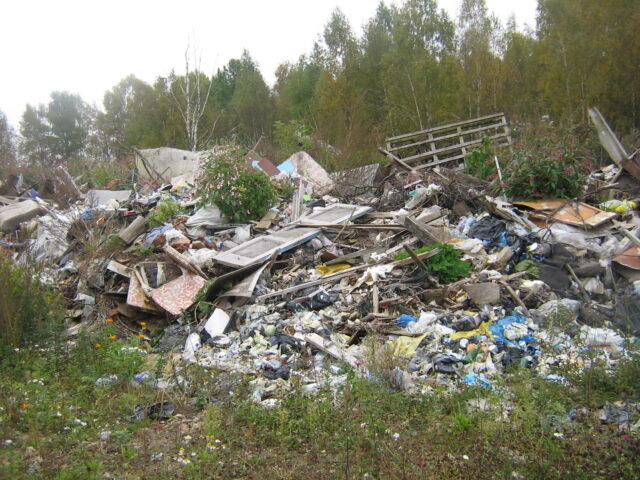 В Тверской области Россельхознадзор обнаружил 12 несанкционированных свалок