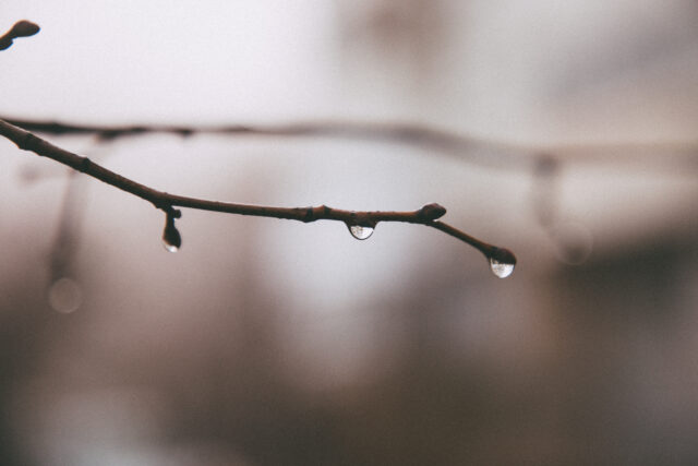 В воскресенье в Тверской области продолжится дождь Жителей Тверской области ждет дождливый вторник