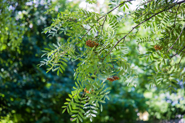 Воскресенье в Тверской области будет теплым и солнечным Воскресенье в Тверской области будет теплым и солнечным