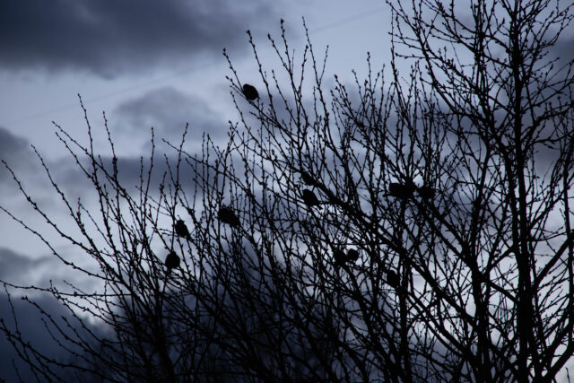 В четверг в Тверской области наконец-то не будет дождя