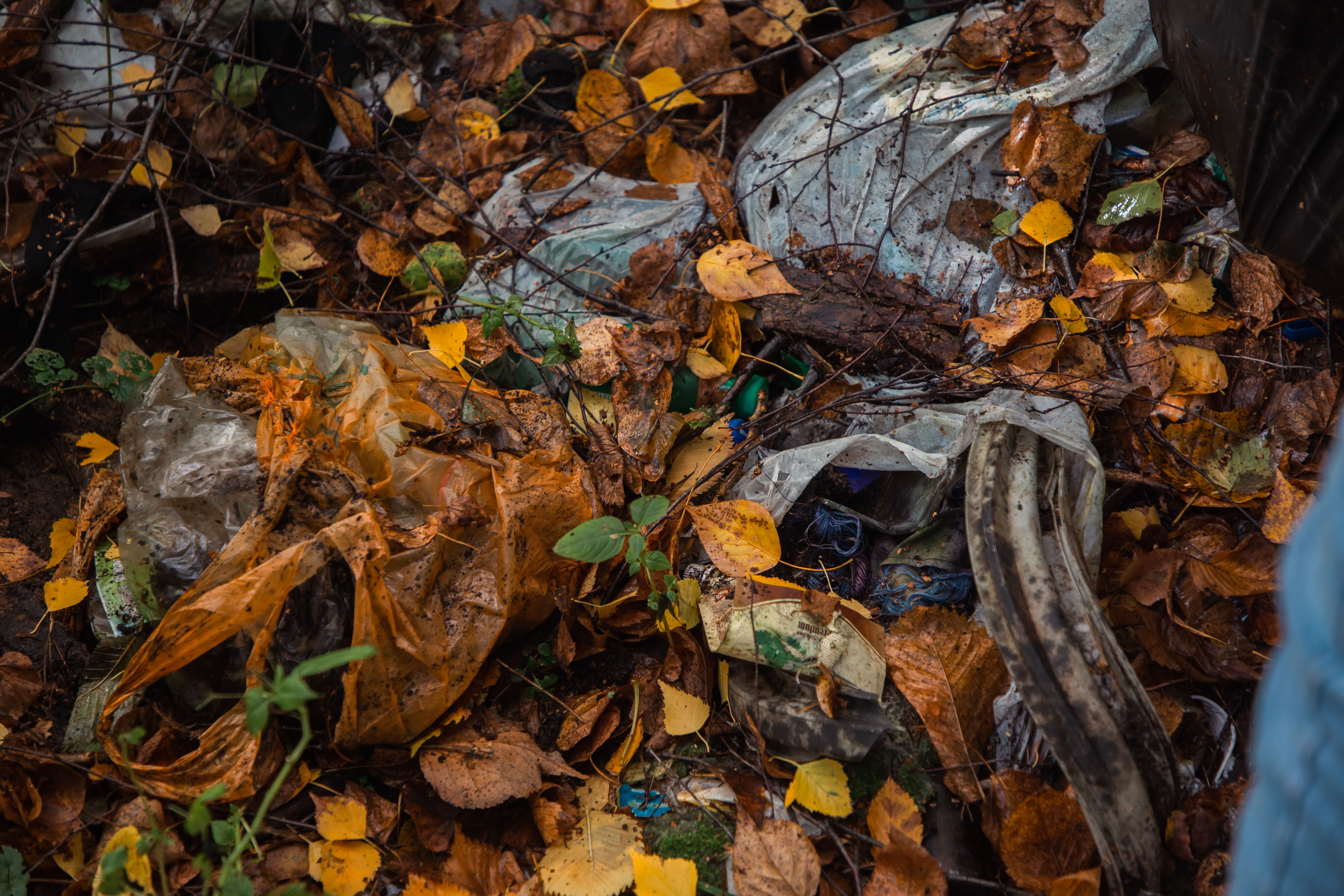 ЭКО РИА: Журналисты провели субботник в парке Текстильщик