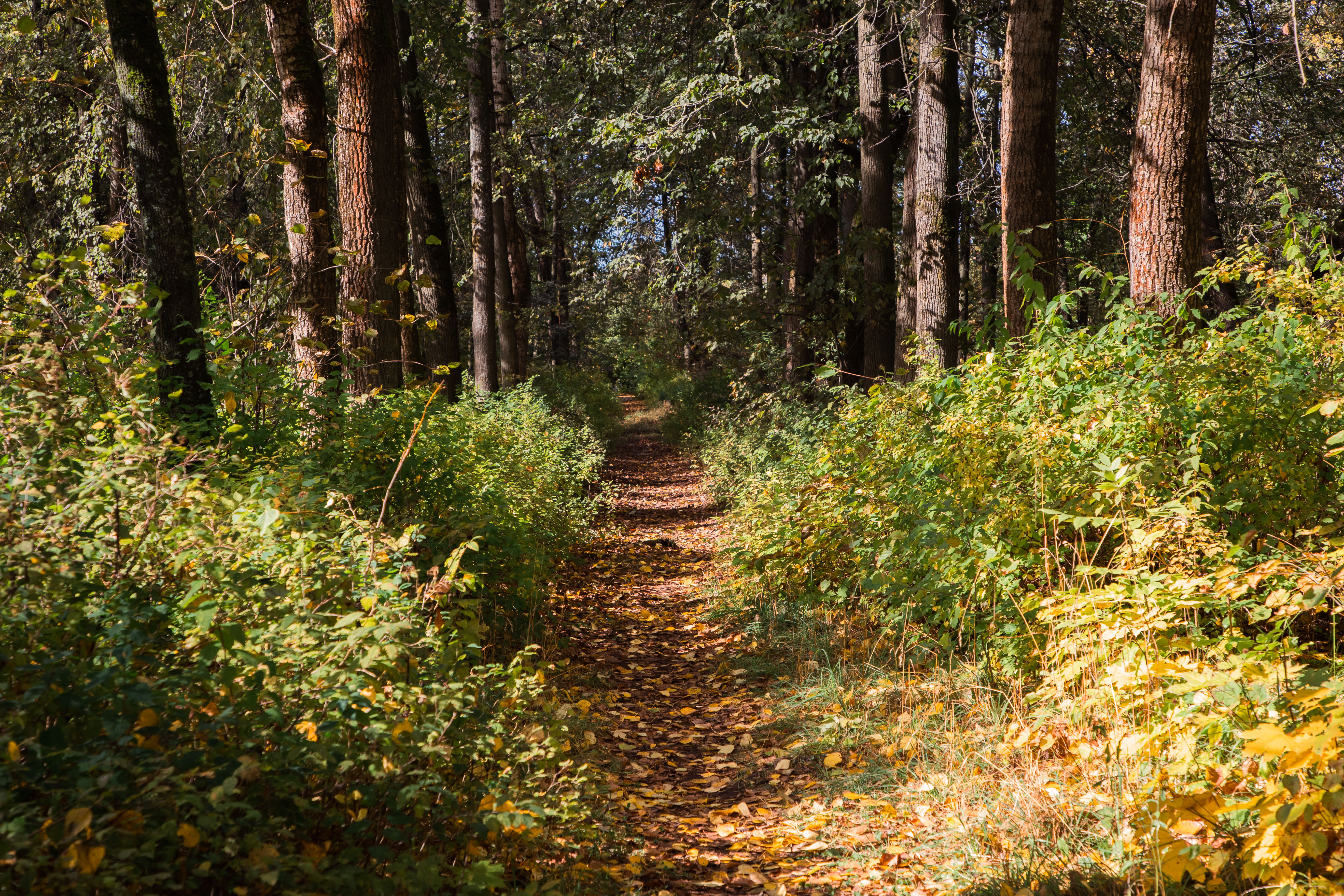 ЭКО РИА: Журналисты провели субботник в парке Текстильщик