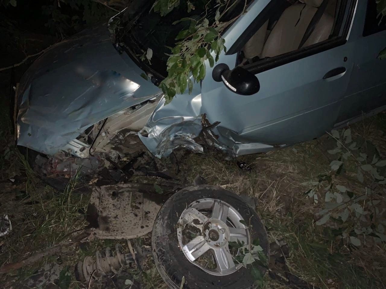 Двое детей пострадали в ДТП в Тверской области