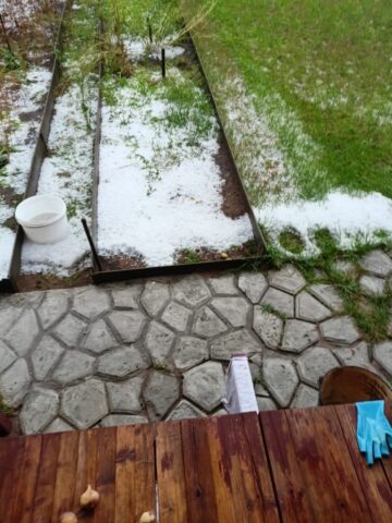 В Вышневолоцком городском округе лето в одночасье превратилось в зиму В Вышневолоцком городском округе лето в одночасье превратилось в зиму