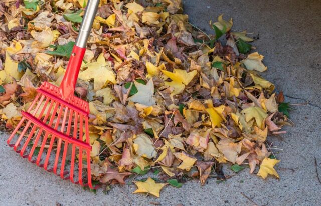 В Лихославле прошла экологическая акция В Лихославле прошла экологическая акция