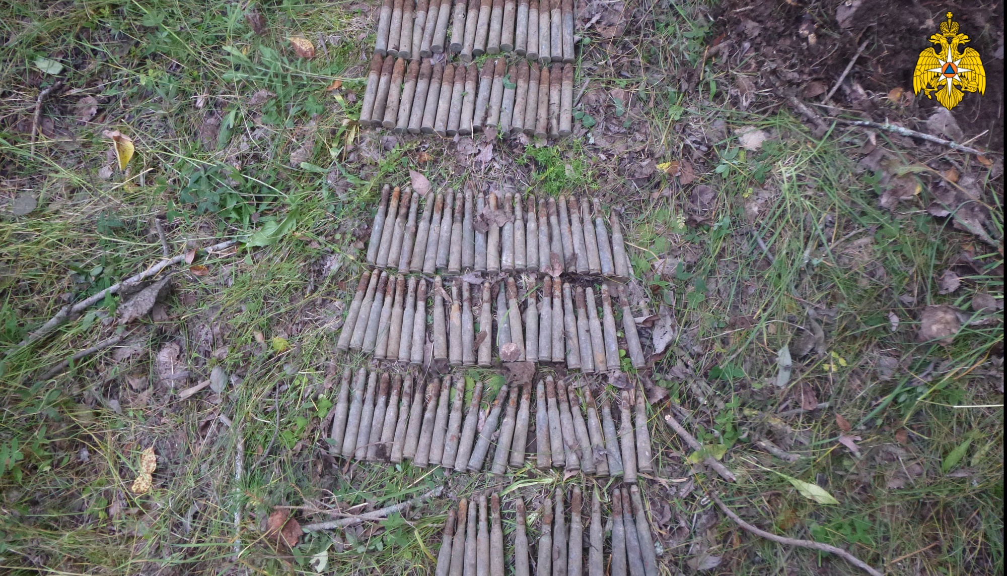 В Бологовском районе обезврежены взрывоопасные предметы времён Великой Отечественной войны