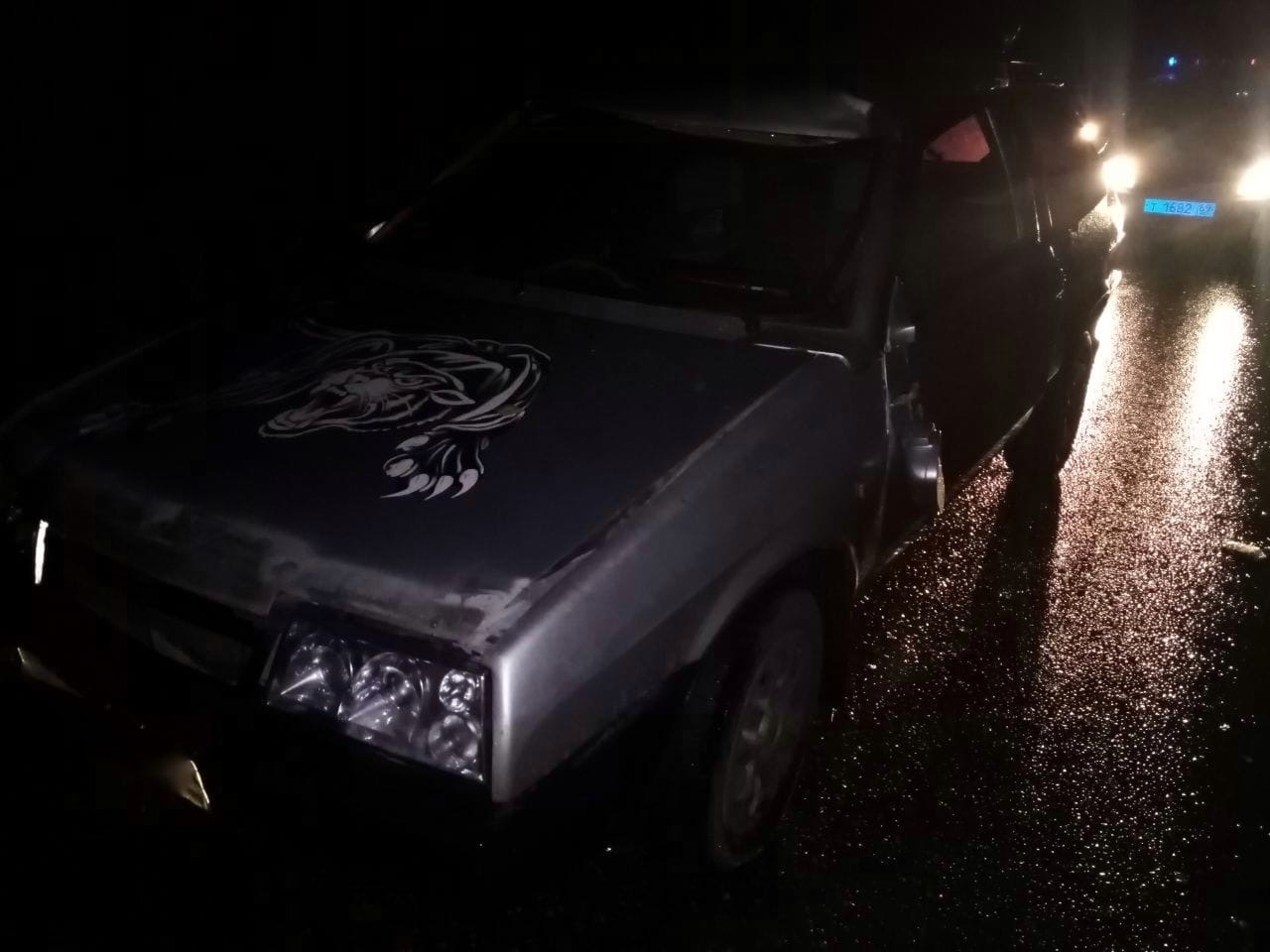 В Тверской области в ДТП с лосем пострадали два человека