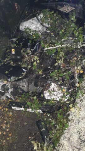 В Тверской области ВАЗ врезался в упавшее перед ним дерево