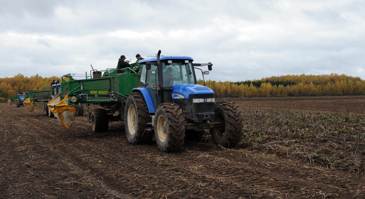 В 10 муниципалитетах Верхневолжья завершена уборочная кампания