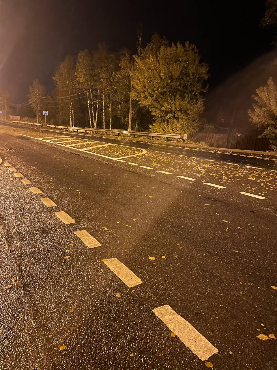 В Тверской области опрокинулся мотоцикл