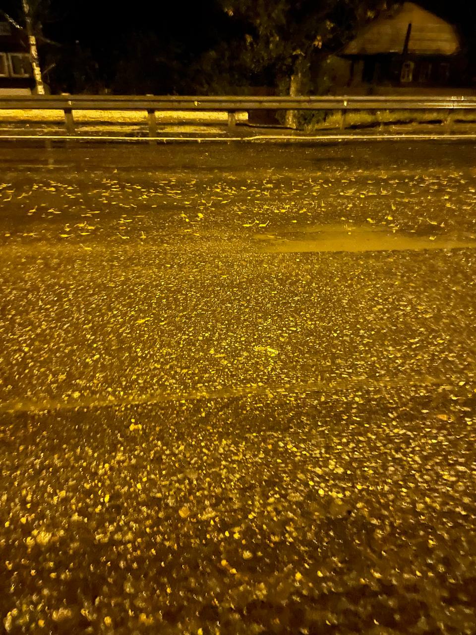 В Тверской области опрокинулся мотоцикл