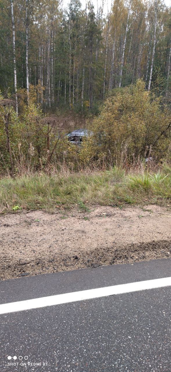 В Тверской области иномарка нырнула в кювет