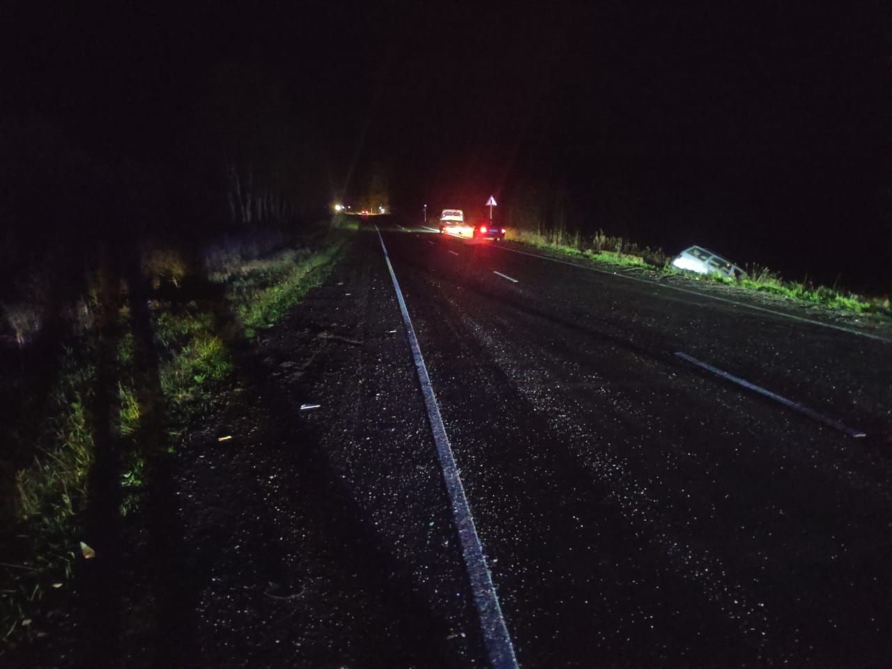 Три человека получили травмы в ДТП с лосем в Тверской области