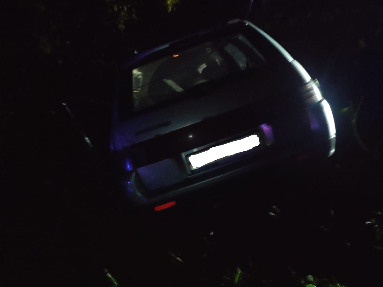 Три человека получили травмы в ДТП с лосем в Тверской области