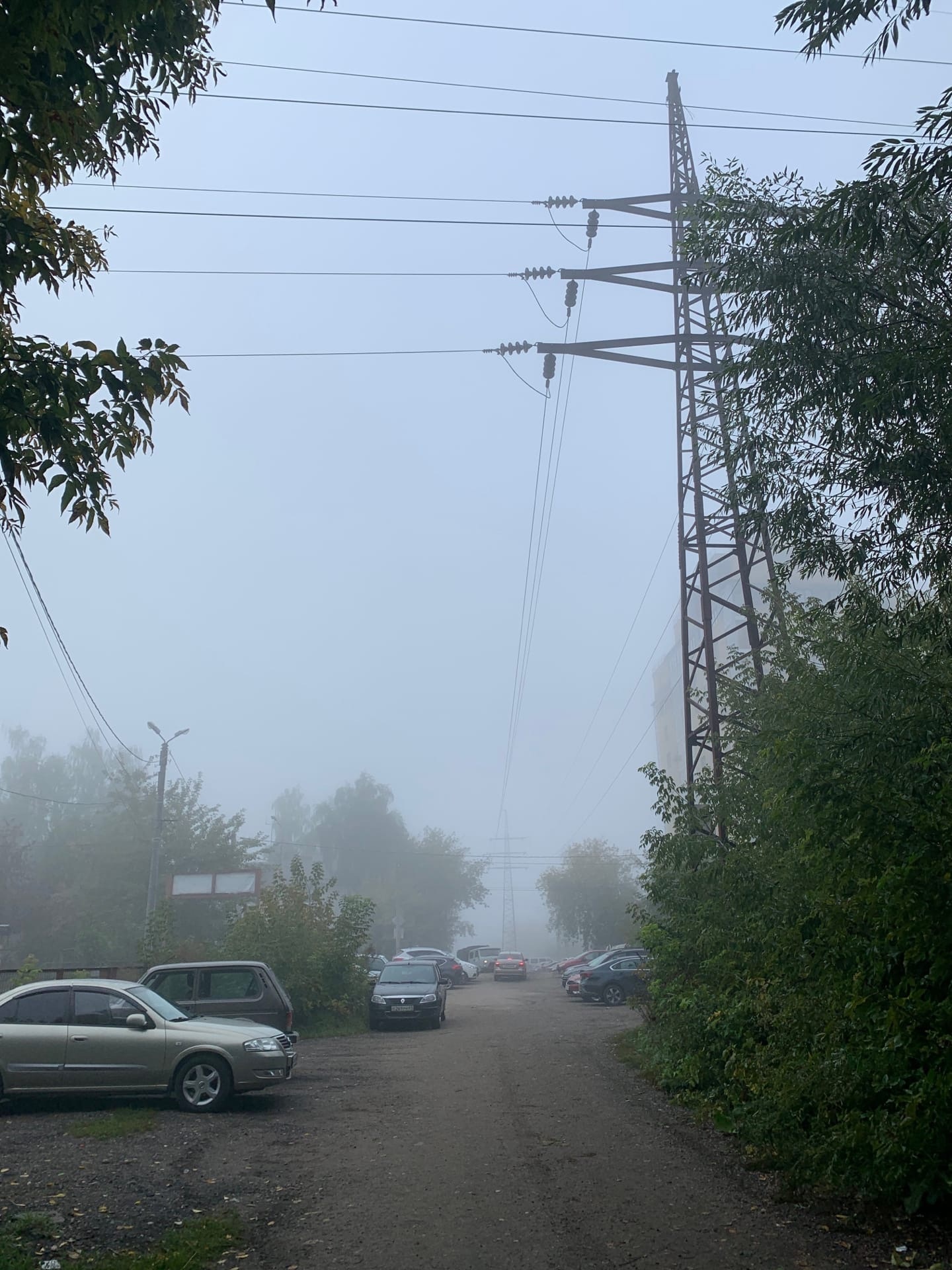 Жители Твери делятся атмосферными фотографиями утреннего тумана