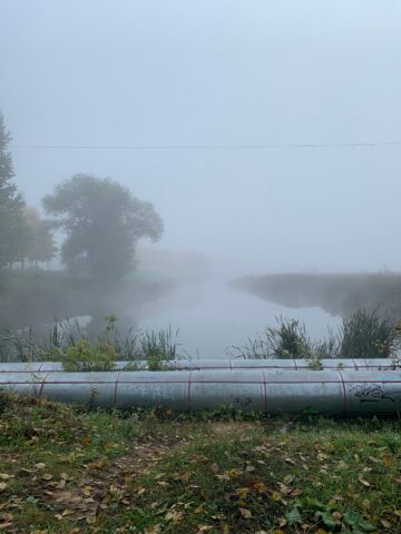 Тверскую область накроет туман
