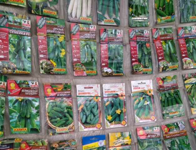 С начала года в Тверской области выявлено 59 нарушений при продаже семян С начала года в Тверской области выявлено 59 нарушений при продаже семян