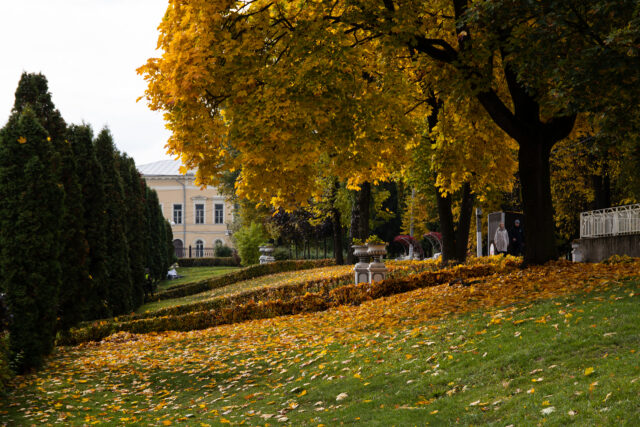 В четверг в Тверской области станет теплее
