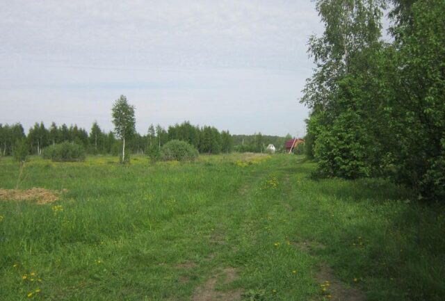 Свалку строительного мусора убрал нарушитель в Конаковском районе Свалку строительного мусора убрал нарушитель в Конаковском районе