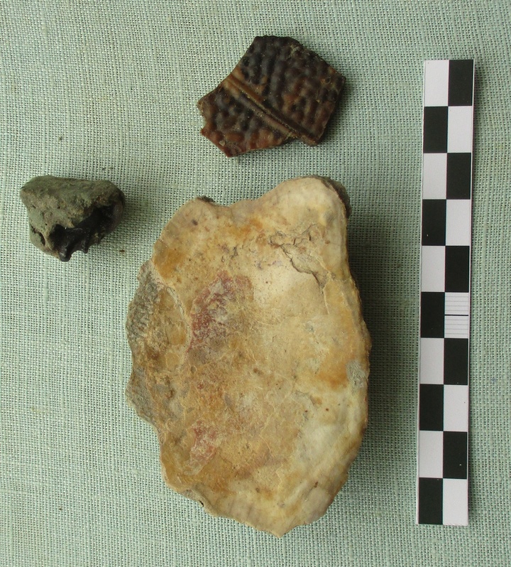 Сотрудники андреапольского музея отправились на девонские обнажения и нашли фрагменты костей