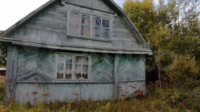 В Тверской области волонтеры помогли вернуться домой заблудившейся в лесу бабушке Вале