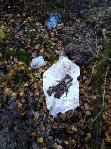 Андреапольские поисковики нашли в лесах останки военного, погибшего во время операции "Марс"