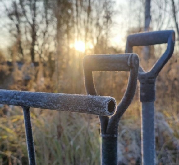 Поисковики обнаружили в Ржевском районе артефакты времен Великой Отечественной войны