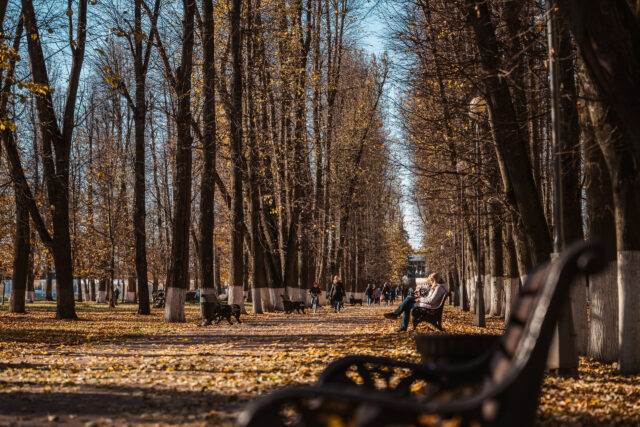 В субботу в Тверской области будет облачно с прояснениями