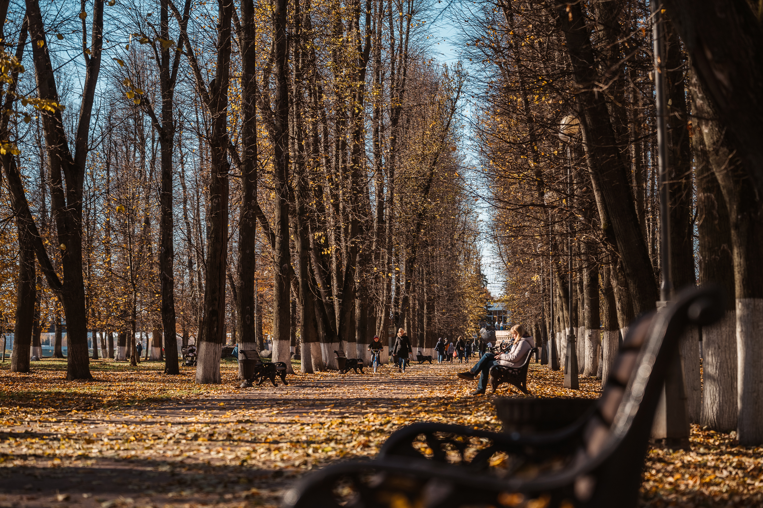В субботу в Тверской области будет облачно с прояснениями В субботу в Тверской области будет облачно с прояснениями