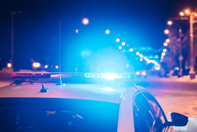 В Тверской области автомобиль ВАЗ сбил лося