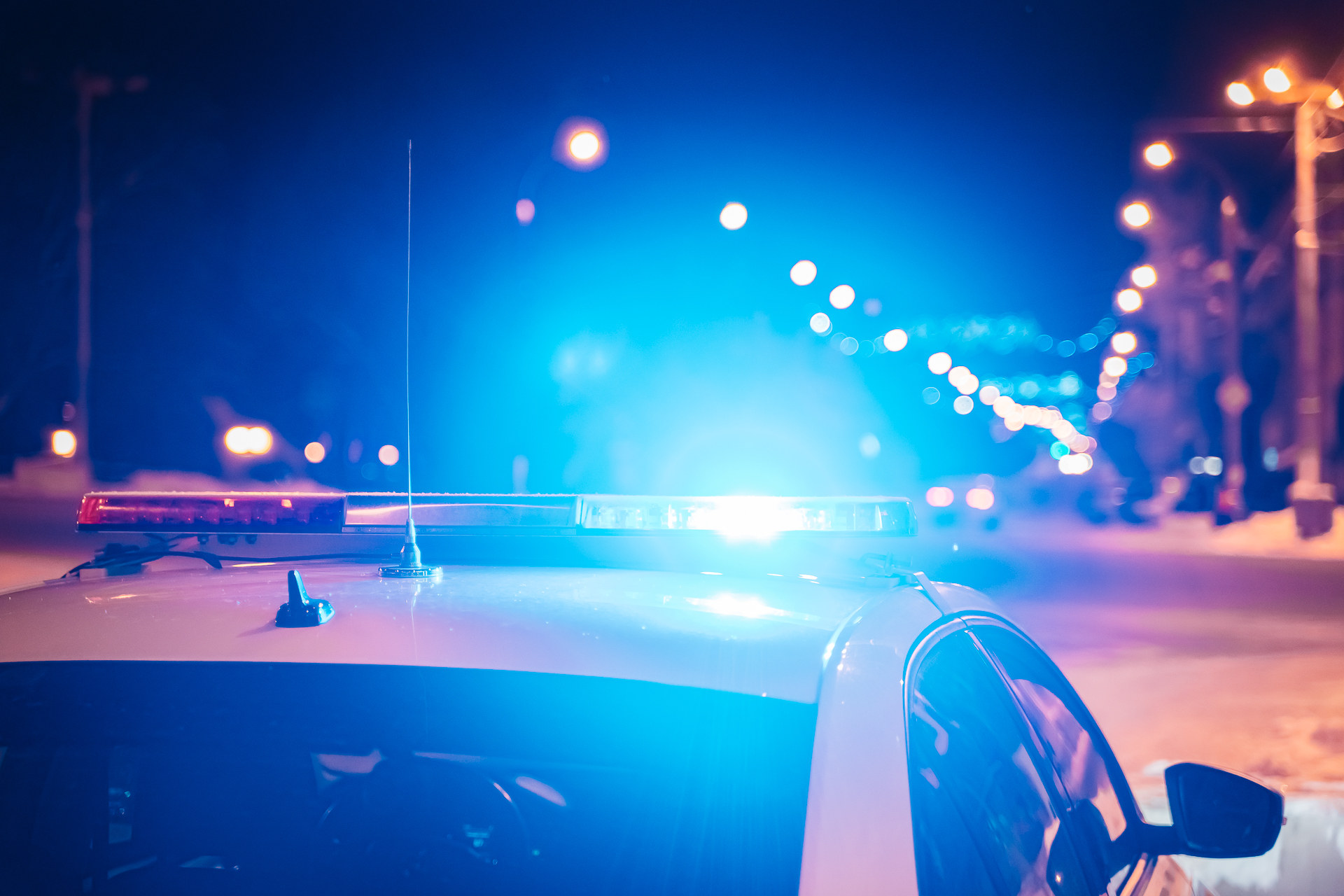 В Тверской области автомобиль ВАЗ сбил лося