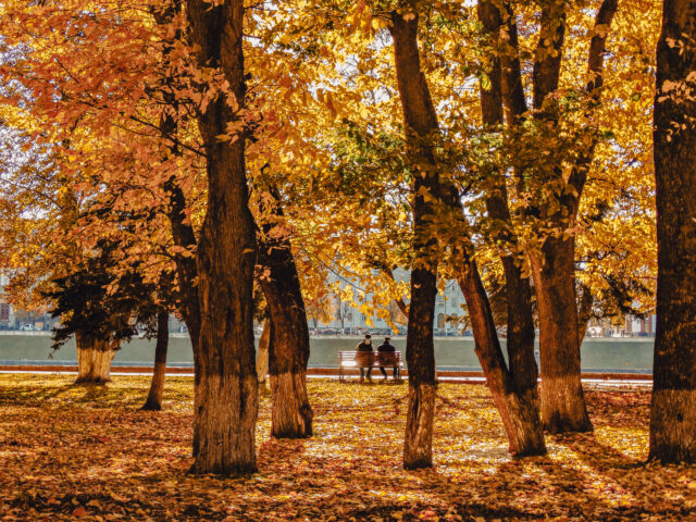 В пятницу в Тверской области будет изменчивая погода В пятницу в Тверской области будет изменчивая погода