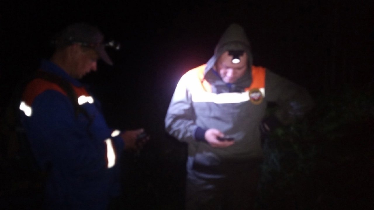 В Тверской области волонтеры помогли вернуться домой заблудившейся в лесу бабушке Вале