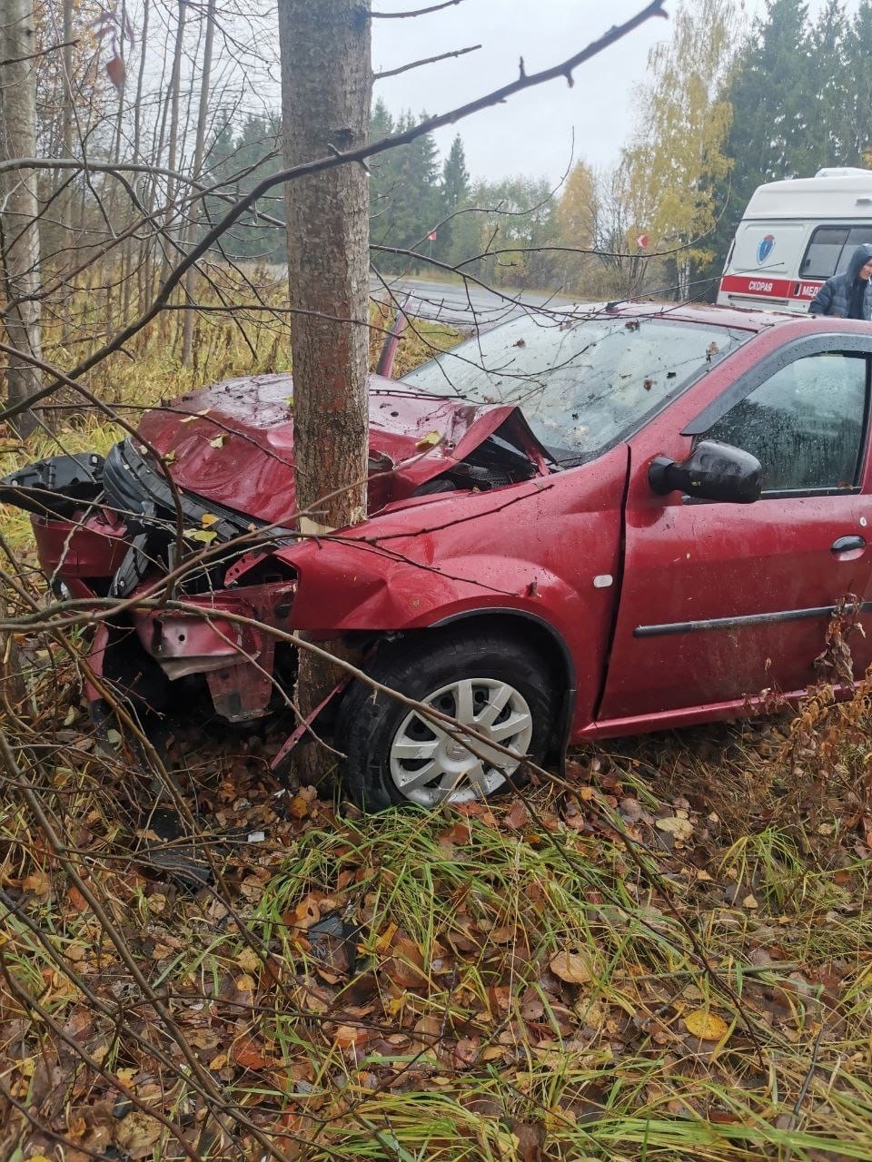 В Тверской области автомобиль врезался в дерево