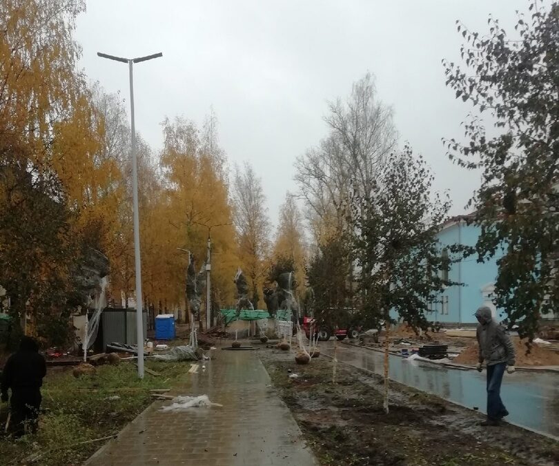 В Нелидове высаживают краснолистные березы