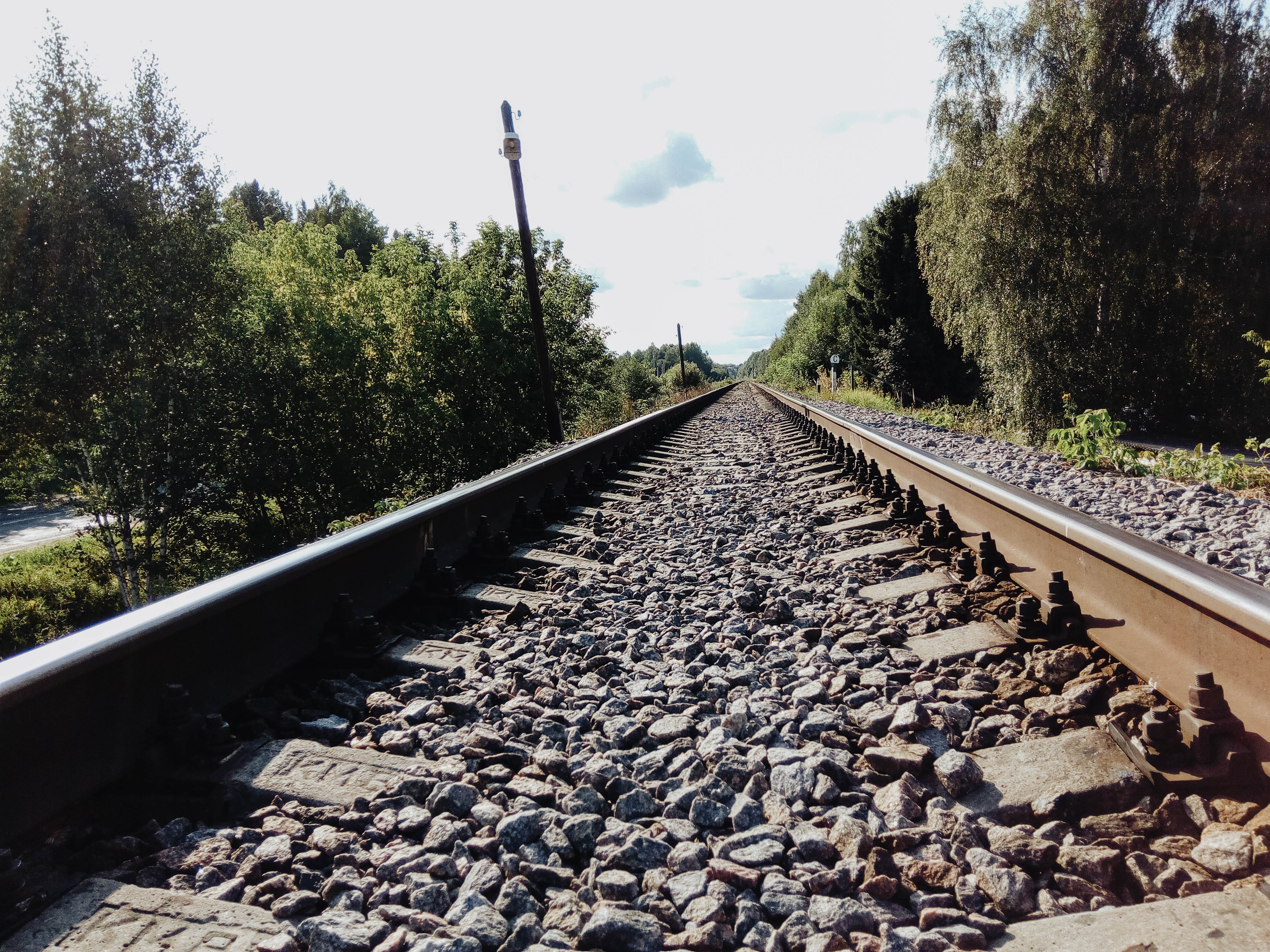 Поезд насмерть сбил 83-летнюю женщину в Тверской области