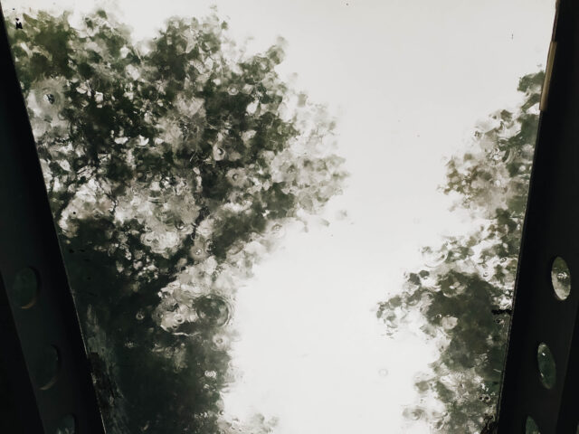 В пятницу в Тверской области снова ожидаются дожди