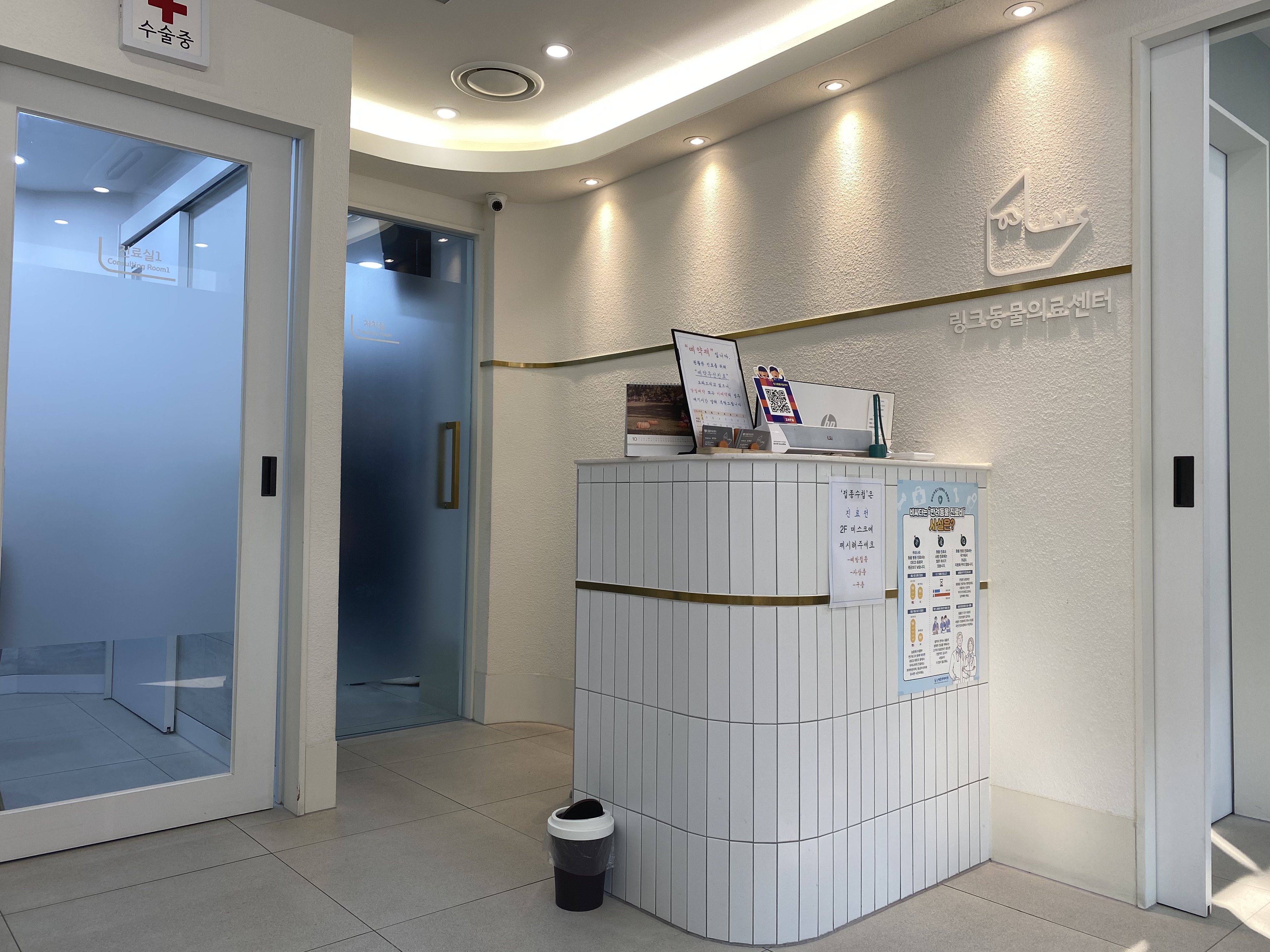 Друзья человека: каких домашних животных выбирают корейцы