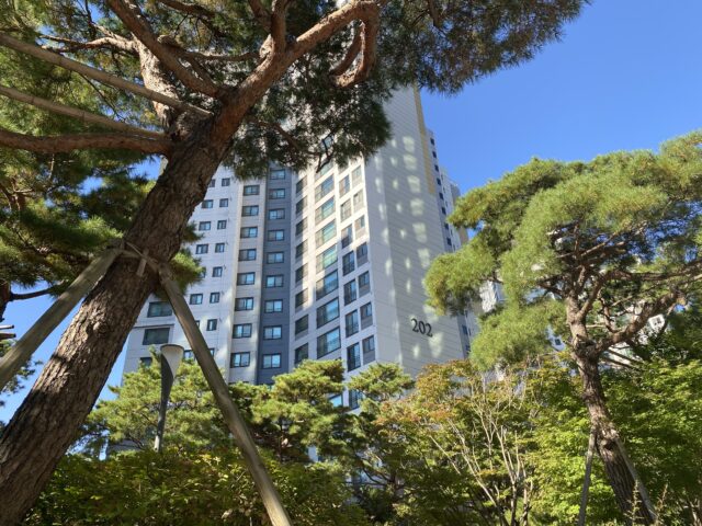 Рай вокруг многоэтажки: какие принципы благоустройства стоило бы подсмотреть в Южной Корее Рай вокруг многоэтажки: какие принципы благоустройства стоило бы подсмотреть в Южной Корее